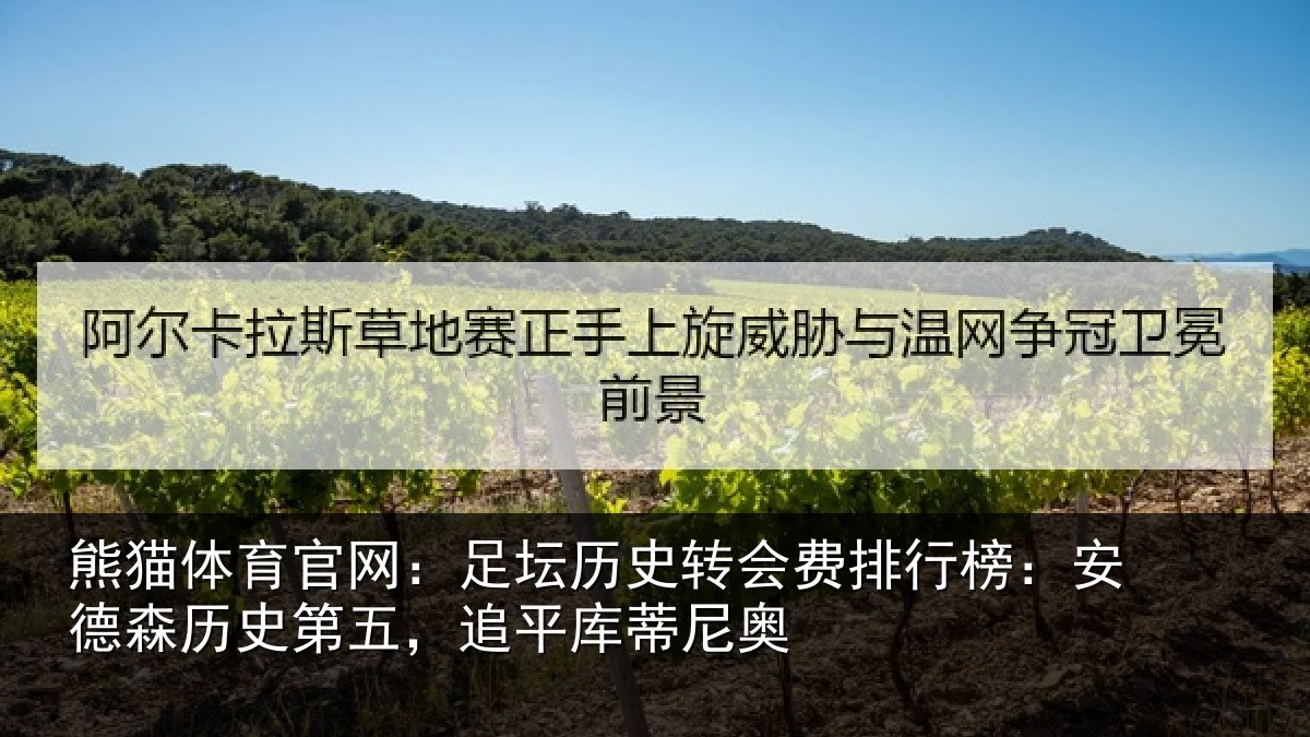 熊猫体育官网：足坛相关情况：安德相关情况蒂尼奥
