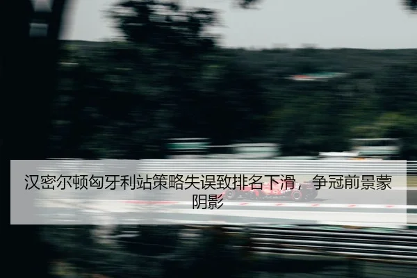 han-mi-er-dun-xiong-ya-li-zhan-ce-lve-shi-wu-zhi-pai-ming-xia-hua-zheng-guan-qian-jing-meng-yin-ying-2-648.jpg